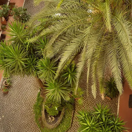 La Casa Di Amy Pensión