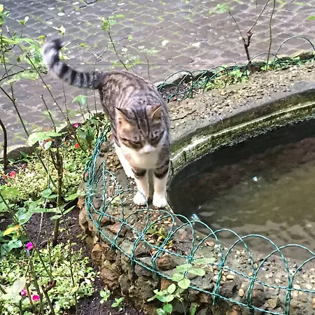 ゲストハウス ラ カーサ ディ アミー ローマ