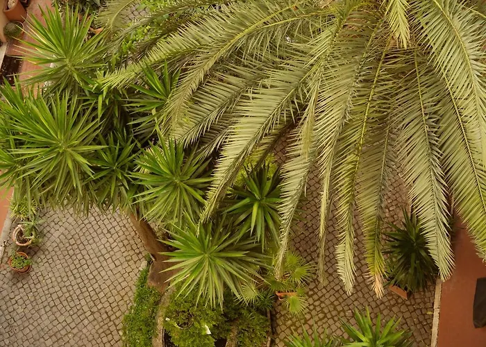 ラ カーサ ディ アミー ゲストハウス