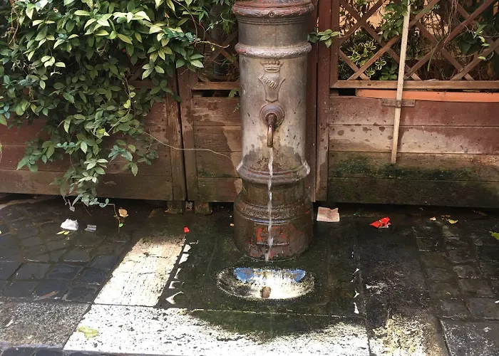 ラ カーサ ディ アミー ローマ