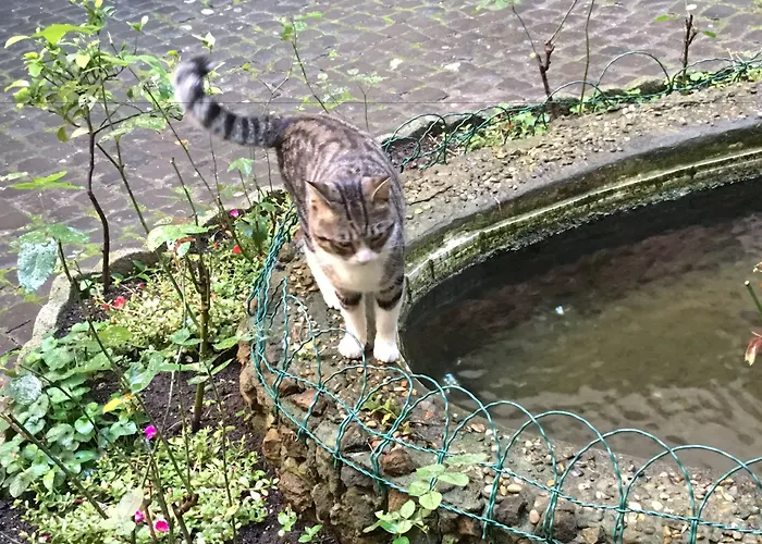 ゲストハウス ラ カーサ ディ アミー ローマ
